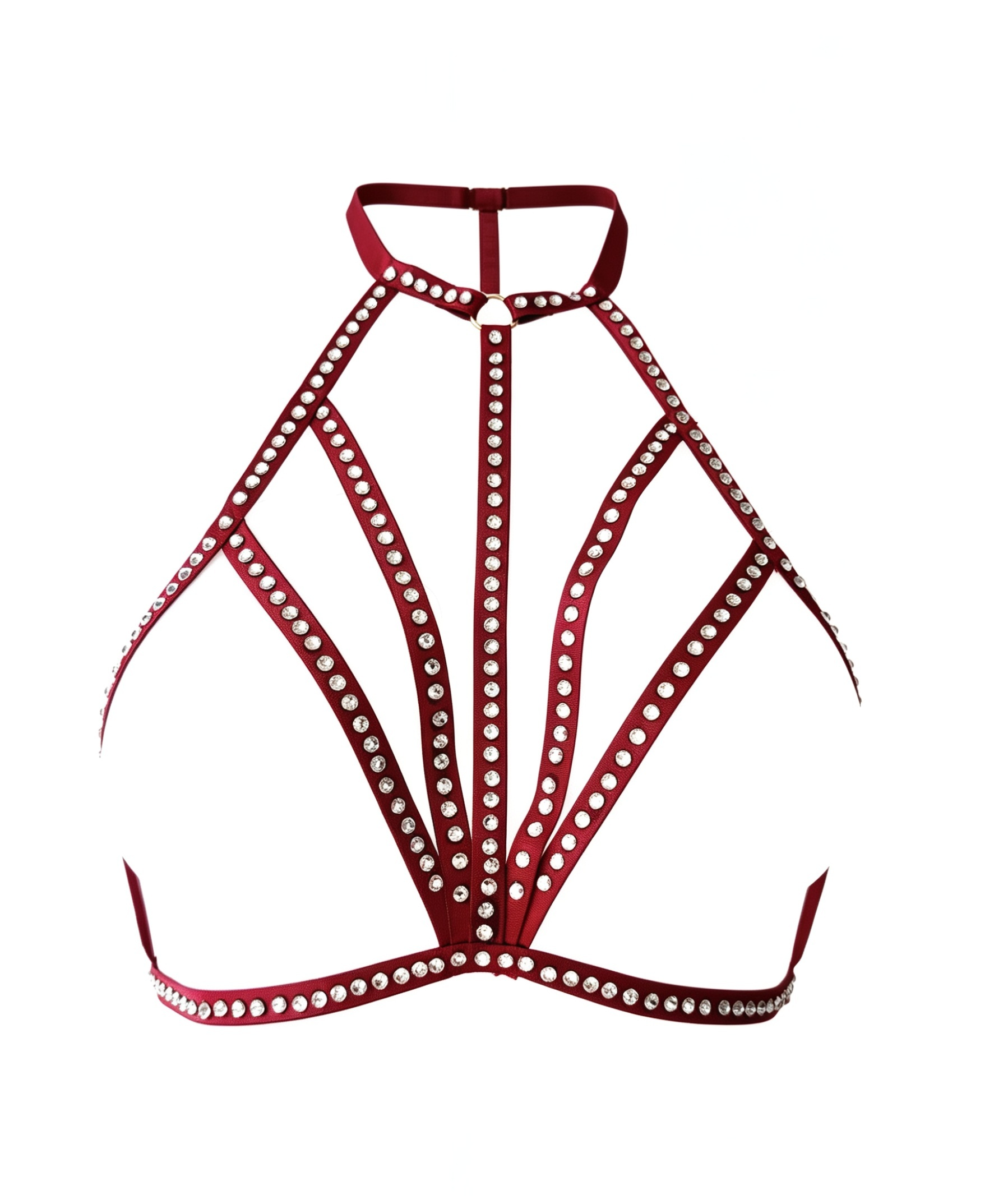 Body Harness