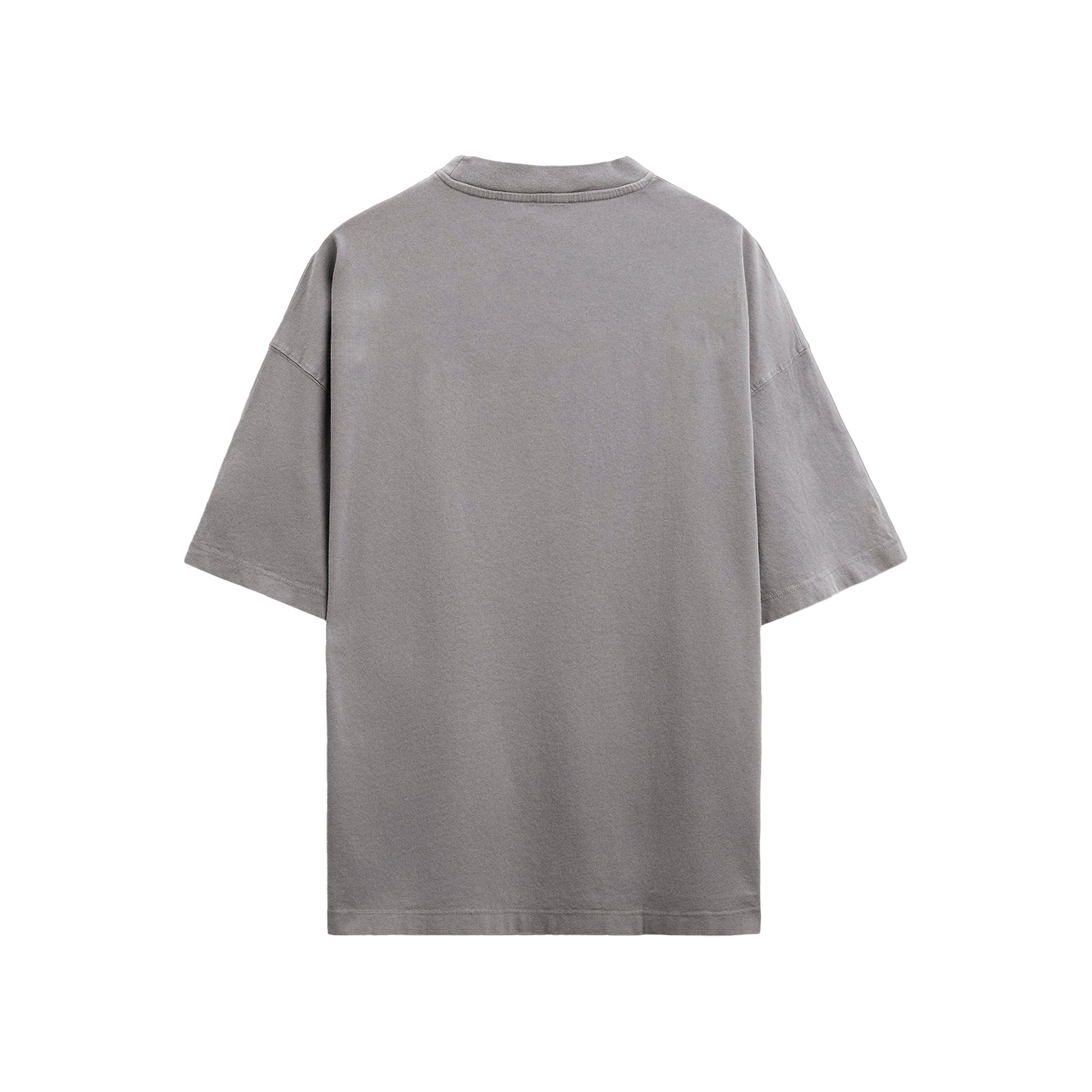 ORNAMENT PEACHED T-SHIRT - WASHED LAVA